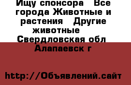 Ищу спонсора - Все города Животные и растения » Другие животные   . Свердловская обл.,Алапаевск г.